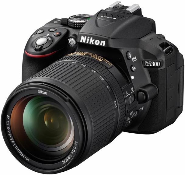 D5300