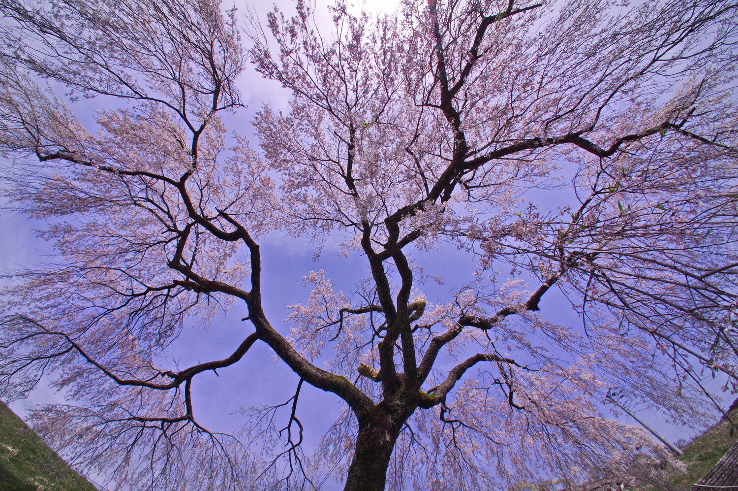 【影遊び】 影の中から