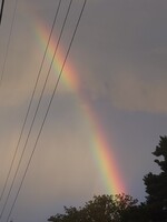 朝の虹