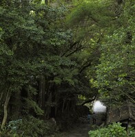 ユージンスミス擬き