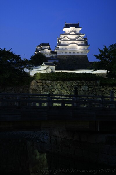 姫路城ライトアップ　