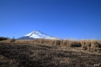 富士演習場の冬