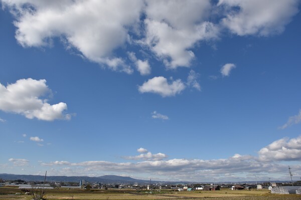 奈良盆地の空