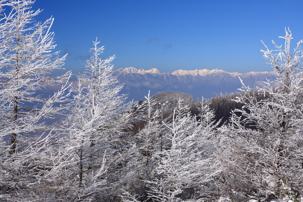 樹氷の彼方に