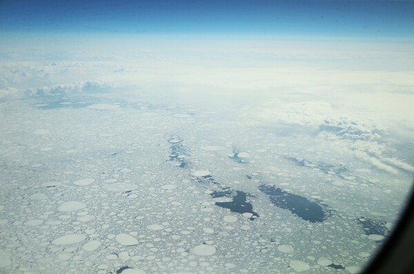 北極海の流氷