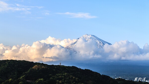 【花・空のある風景】令和元年5月5日の富士