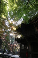 秋の朝日と平林寺