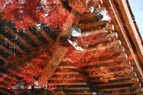 奥高野山寺の秋