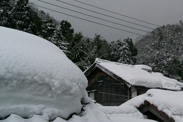 【う】わー!、大雪