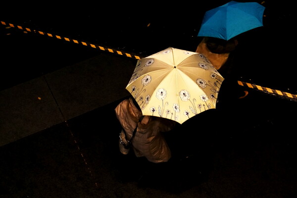 【光】雨に咲く花