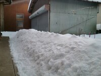 家の前の雪
