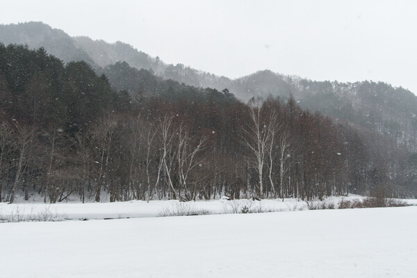 そして雪が降る