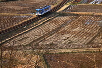 明知鉄道・明知行き