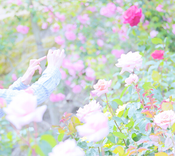 Beautiful、H