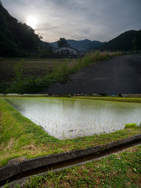 朝は曇りから夕方は雨降りに!