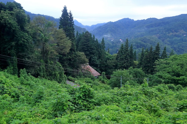 峠から望む