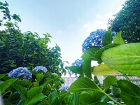 青空へ