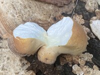 食欲の秋