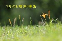 7月のお題係り募集