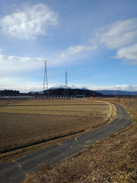 水田と緩やかなカーブの道