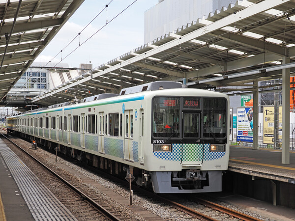 外来種？〜新色〜