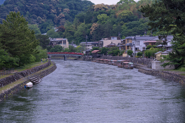 宇治川、鵜飼舟