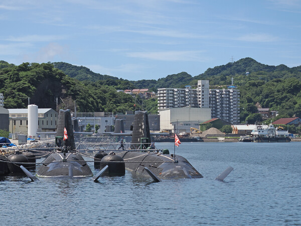 クジラの集い