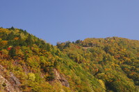 山は秋色