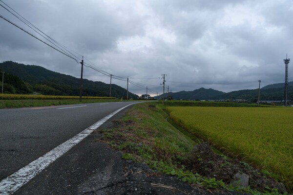 夕方又雨降りに・・。