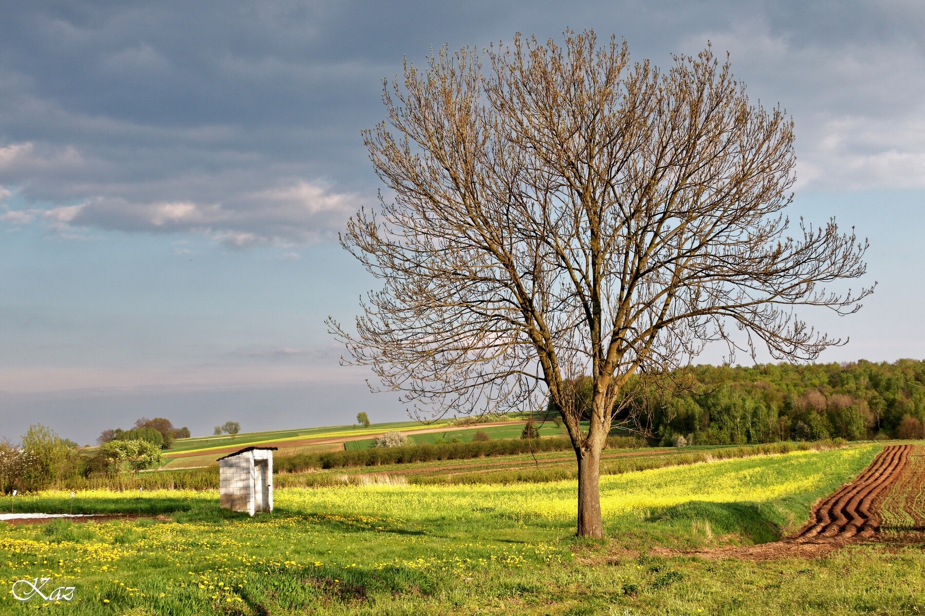 【MFP】My Favorite Poland Scenery