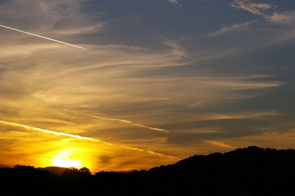 飛行機雲と夕焼け