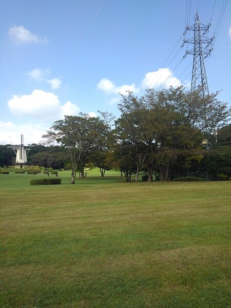 那須野が原公園の芝生の広場