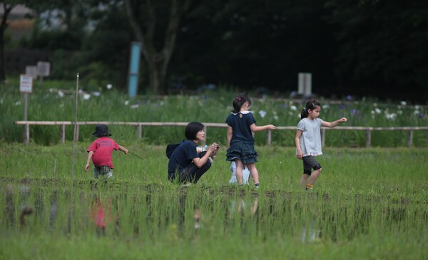 【水のある星】 田んぼ