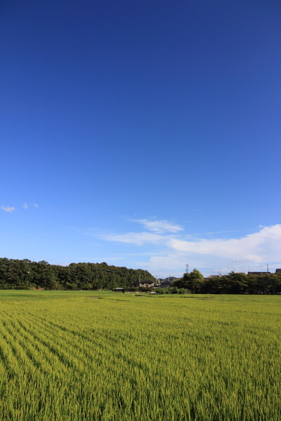 岡山の空　～故郷が一番～