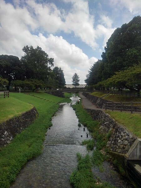 美原公園の川の眺め