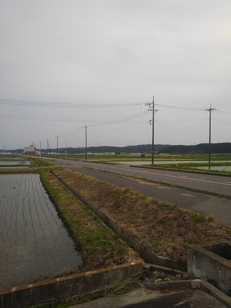 水田沿いの道路