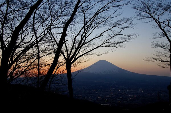 乙女峠からの富士