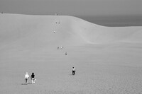 白い砂丘