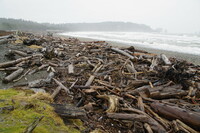 Rialto Beach