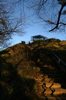 戸山公園の箱根山