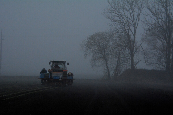 霧・農作業