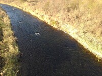 橋の上からの川の水面