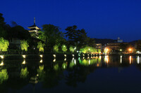 興福寺～夜景