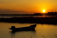 今日の夕日は・・・