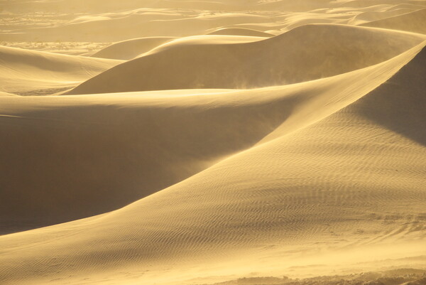 Wind of Dunes