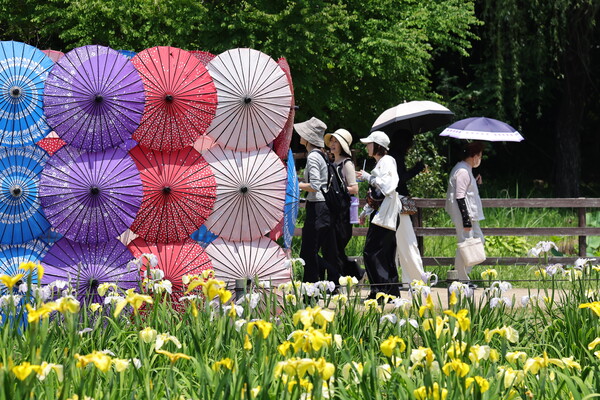 祭りなんで　花三態