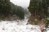 雪です小矢部