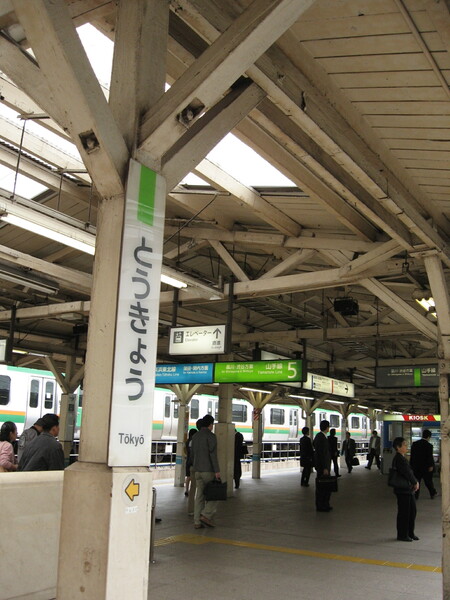 【木】駅、ホームの屋根