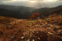 草紅葉を吹き抜ける風