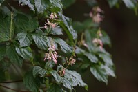 越後湯沢の山奥にて 6